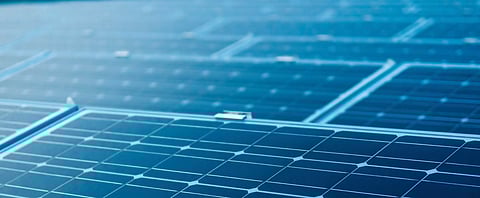 Brenntag inaugurates its largest solar park in Latin America and continues to move towards a sustainable future