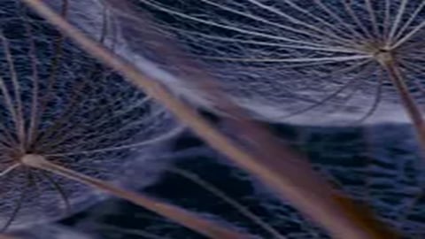 ‘Biomass fermentation’ chosen as the central focus of MISTA’s second annual Growth Hack