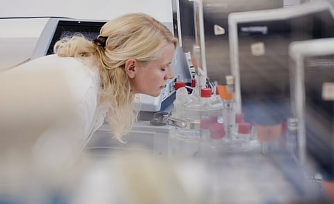 Lesaffre acquires a majority stake in Biorigin to strengthen and broaden its savory ingredients offering