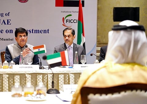 Food parks among areas for greater collaboration and investments between India and UAE: Piyush Goyal