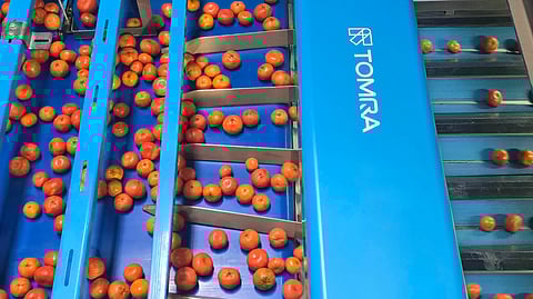 Sunriver Citrus increases sorting efficiency with consistently high-quality grading with Tomra 5S advanced and dynamic lane balancer