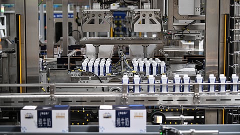 Packaging lines within Ningxia