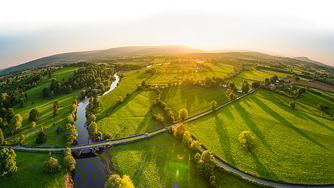 Kerry Group completes phase 1 of Kerry Dairy Ireland transaction