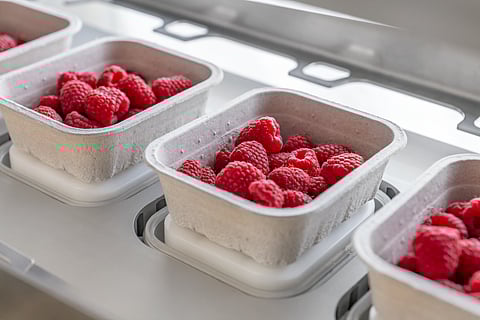 Fresh packaging solutions for fresh products