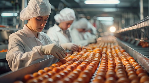 Year-End Review 2024: Achievements and initiatives of the Ministry of Food Processing Industries