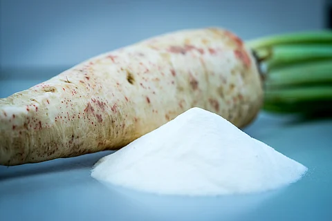 Weight management benefits of chicory root fibres confirmed via systematic review with meta-analyses