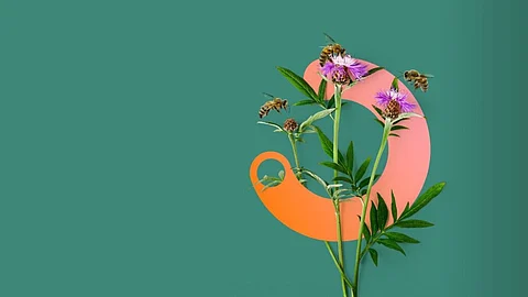 SGS launches Nature services under its new IMPACT NOW for sustainability suite