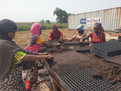 Tomato Jos wins the 2024 SAVE FOOD project competition