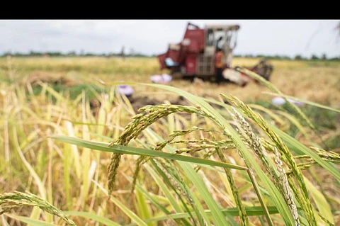 New report highlights critical food system trends and challenges in countdown to 2030