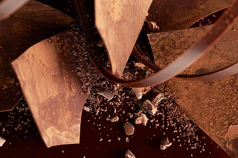 Barry Callebaut releases ‘Top Chocolate Trends in 2025 and beyond’ Report