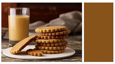 Color Trends 2025: Immerse yourself in Oterra’s vibrant stream of colors