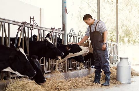dsm-firmenich to sell stake in Feed Enzymes Alliance to its partner Novonesis for €1.5 billion