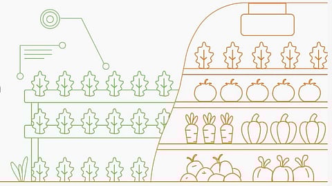 Walmart partners with Cropin to enhance fresh produce supply chain