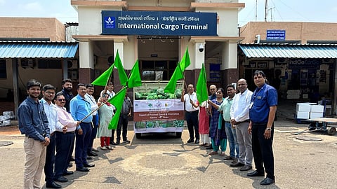 Odisha’s agri-exports scale new heights: First Drumstick shipment from Rayagada reaches global markets