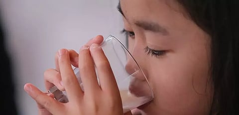 Nestlé expands popular Bear Brand range in the Philippines with new affordable milk blended with plant-based protein