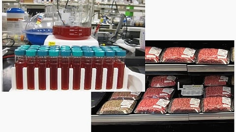 Five Cargill innovations win 2025 Edison Awards