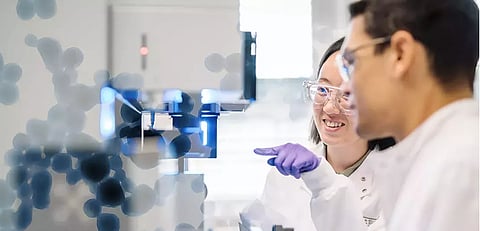 Nestlé’s protein expertise delivers weight management innovation