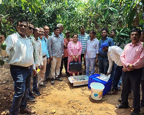 Odisha Govt. boosts mango value chain in Patnagarh under PSFPO to empower farmers, drive exports