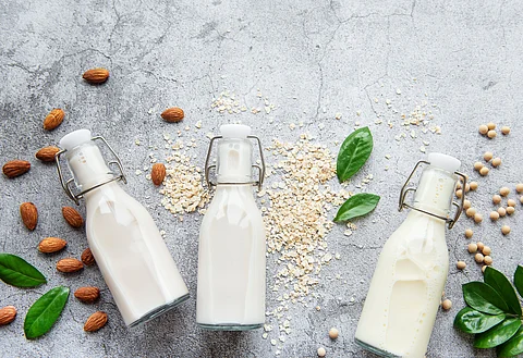 Symrise showcases next-gen taste solutions for plant-based products at Bridge2Food Course & Summit Europe 2025