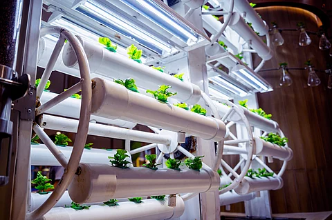Comprehensive industry solutions from RS South Africa for the F&B sector