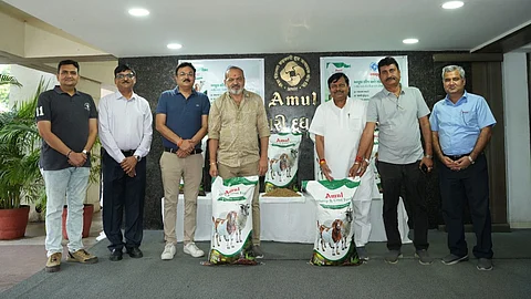 Amul Dairy launches scientifically formulated feed for goats and sheep