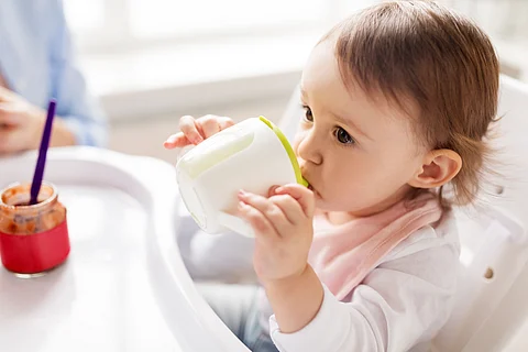 New study reveals chicory prebiotics and HMO blend boosts toddler gut health