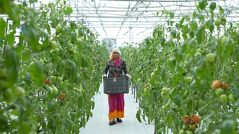 Sixth Sense Ventures invests $7M in Eeki to accelerate climate-resilient farming