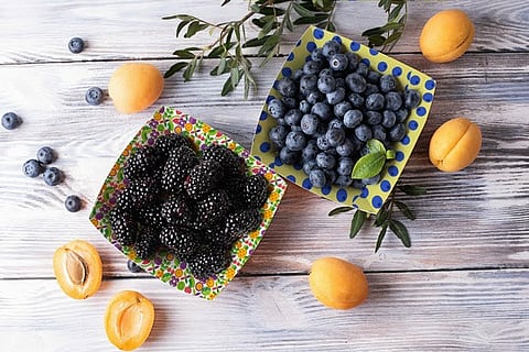 hubergroup Print Solutions launches water-based inks and varnishes for direct food contact