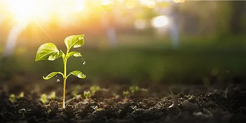 Syntegon reports strong sustainability progress in 2024 and sets ambitious climate targets