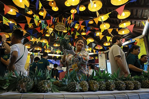 3rd Meghalaya Pineapple Fest 2025 set for Delhi showcase