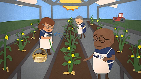 Mars invests $5M in agri-science to perfect the peanut