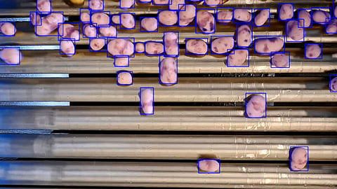 Tummers partners with PolySense to drive smarter, data-powered potato processing