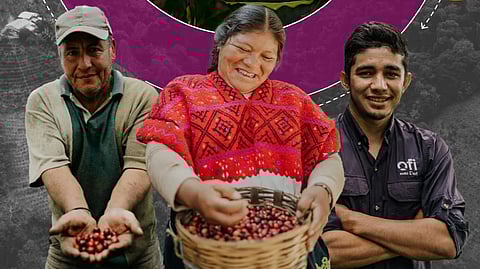 ofi advances toward 2030 climate and social targets in coffee supply chains