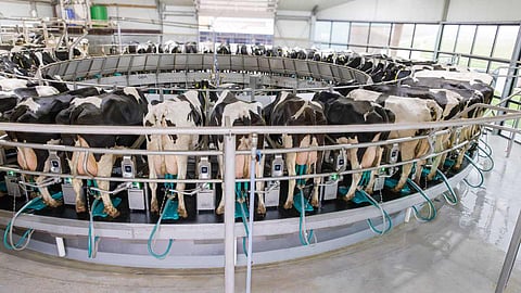 New water-saving solution available for GEA milking systems