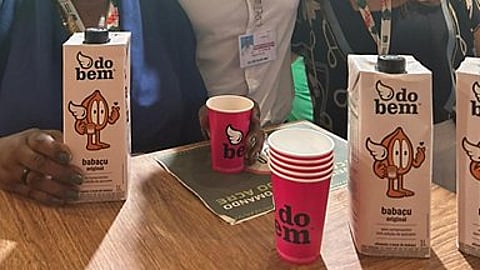 Tetra Pak supports the development of the first babassu beverage in a long-life carton