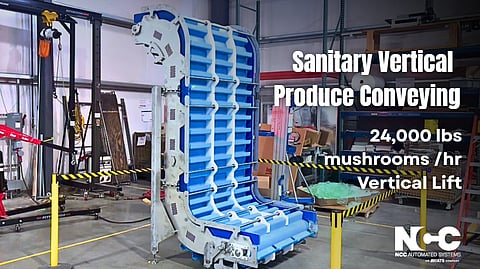 NCC supplies high-capacity Z-Incline conveyor for fresh mushroom processing