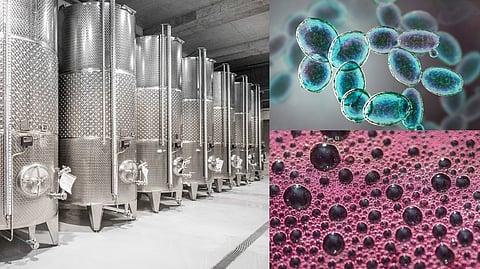 Clockwise (left to right): Metal tanks for wine fermentation; Saccharomyces cerevisiae yeast, baker's or brewer's yeast, is produced industrially through fermentation; Bubbles from red wine during fermentation
