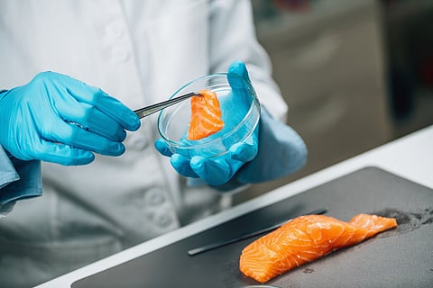 SGS to showcase seafood solutions at Global Expo 2026
