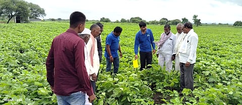 Stories from the Field of Maharashtra’s Soybean Heartland