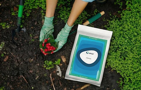 Amcor boosts industrial film capability with major printing line investment in Hardenberg, Netherlands