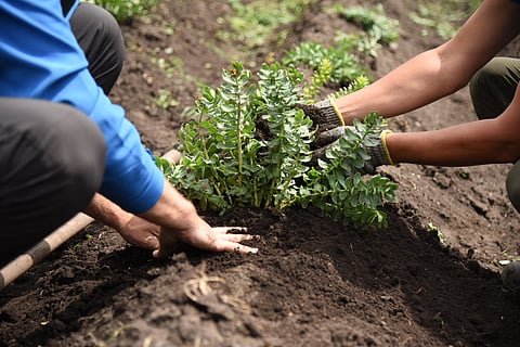 A new standard in sustainability: Nektium certified as a B Corp under enhanced criteria