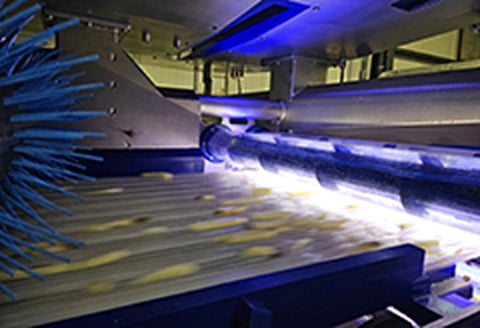 Key Technology introduces new ADR® X for potato strips
