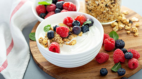 ADM advances protein innovation with new ingredient solutions