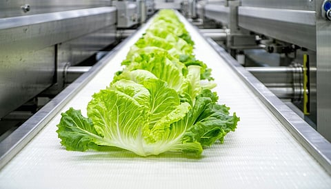 Clariant secures FDA Nod for Licocare RBW food-contact PVC use