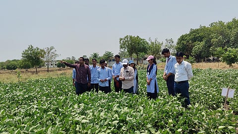 The next generation of agri scientists driving sustainable farming adoption