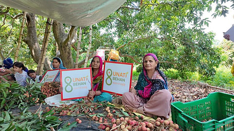 APEDA facilitates first-ever export of fresh litchi from Punjab to Oman