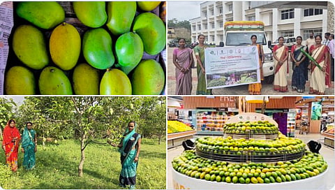 APEDA facilitates commercial export of Amrapali Mangoes from Jharkhand to Dubai