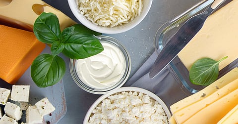 With the Tetra Pak High Shear Mixer, your cream cheese production can become more efficient and perform better.
Disclosure