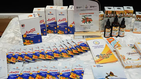 APEDA drives export readiness for Ladakh’s Sea Buckthorn at two-day conclave