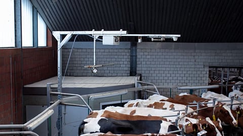 GEA DairyNet Cow Verification: New camera-based animal identification for greater data reliability in the milking parlor